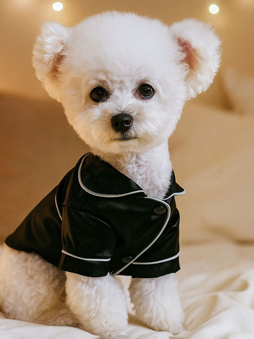 Satin Cozy Pet Pajamas in Navy