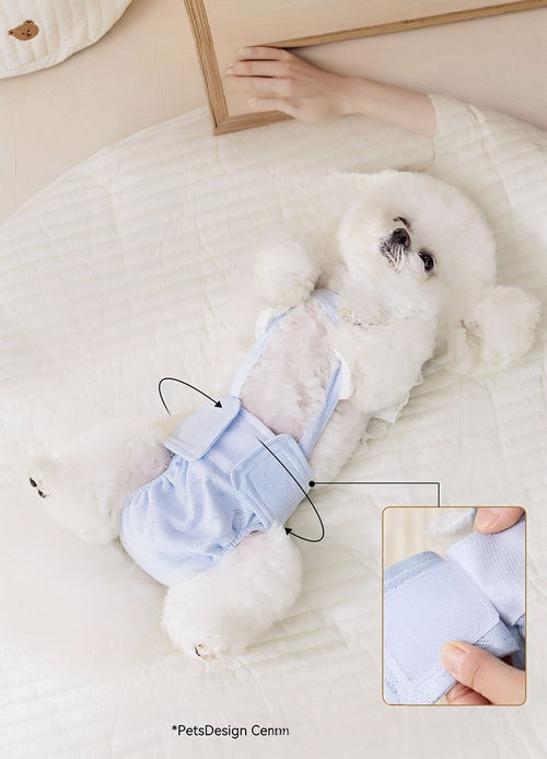 Pet Protective Underwear in Light Blue