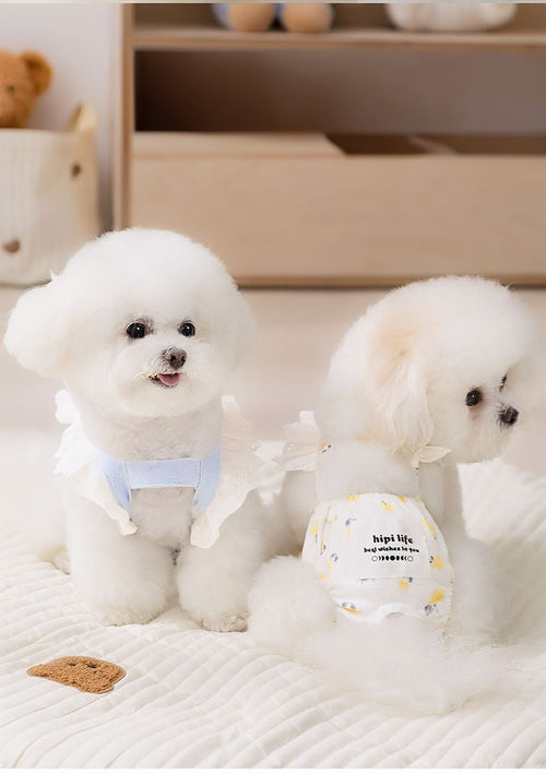Pet Protective Underwear in White