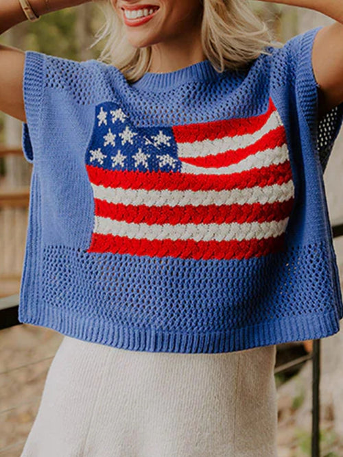 Flag Graphic Sweater Top in Dusty Blue