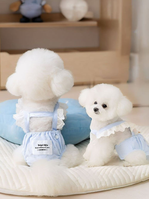 Pet Protective Underwear in White