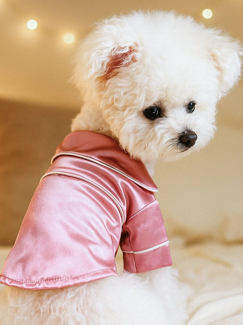 Satin Cozy Pet Pajamas in Dusty Pink