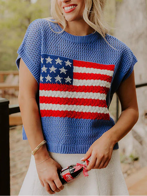 Flag Graphic Sweater Top in Dusty Blue