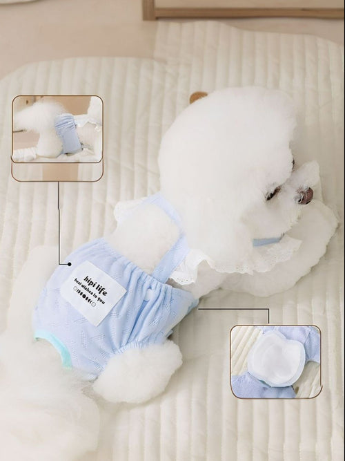 Pet Protective Underwear in Light Blue
